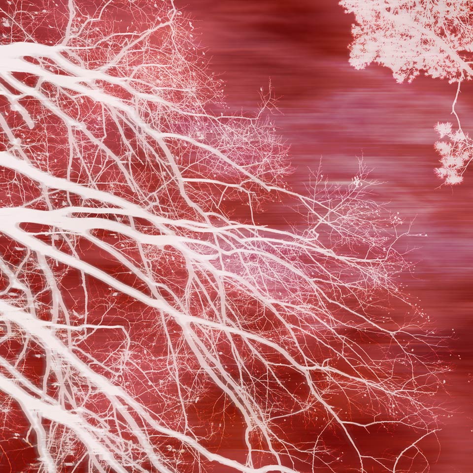 My ART of Procrastination - ABSTRAKTES - Siegfried Romanek