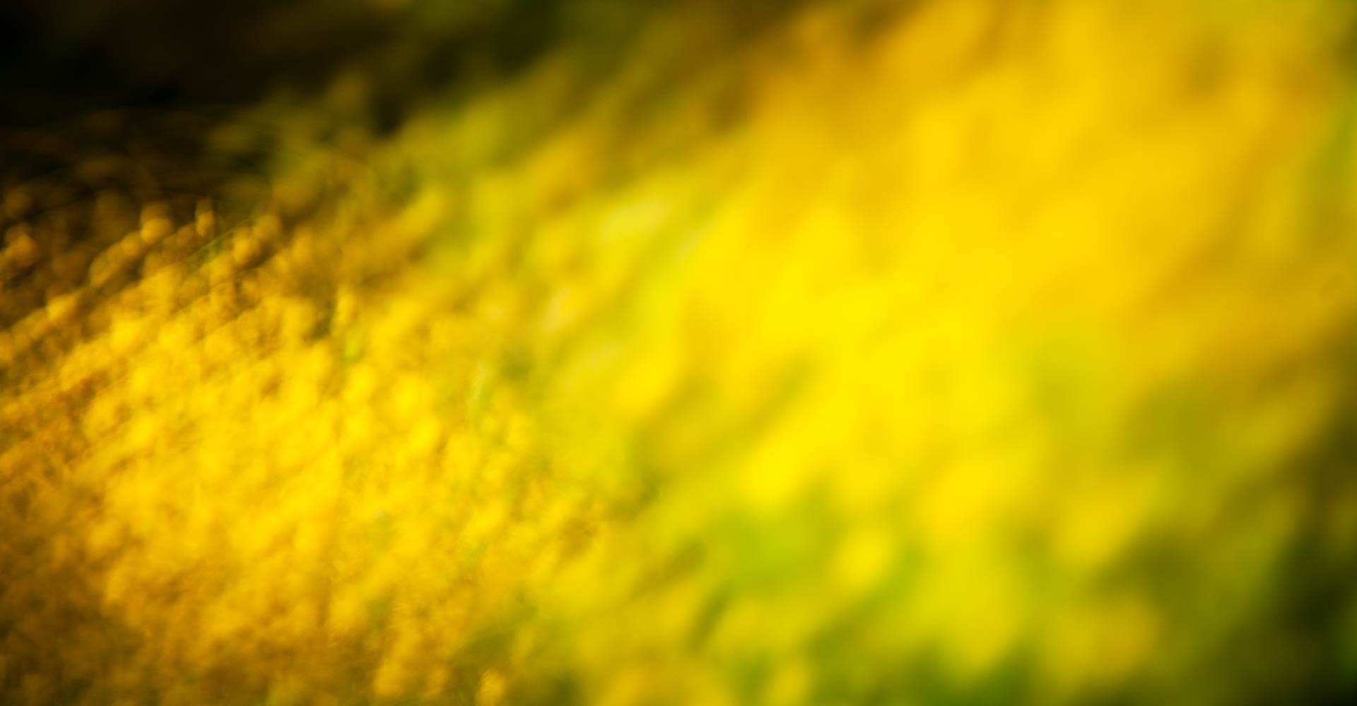 My ART of Procrastination - ABSTRAKTES - Siegfried Romanek