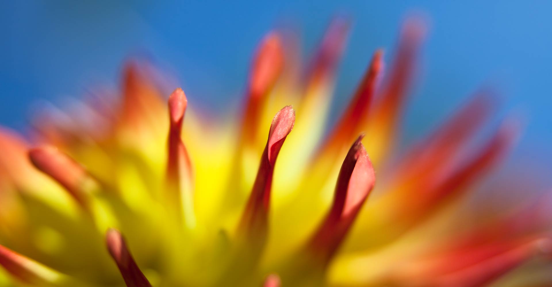 My ART of Procrastination - ABSTRAKTES - Siegfried Romanek