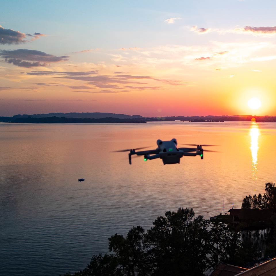 My ART of Procrastination - Siegfried Romanek