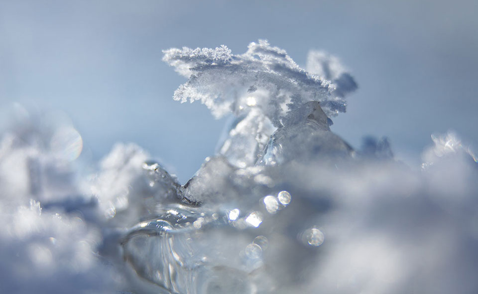 My ART of Procrastination - EISKALTES - Siegfried Romanek