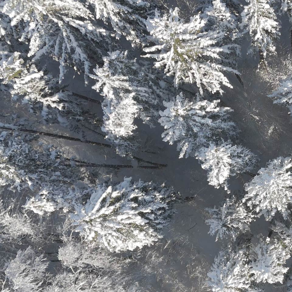 My ART of Procrastination - EISKALTES - Siegfried Romanek