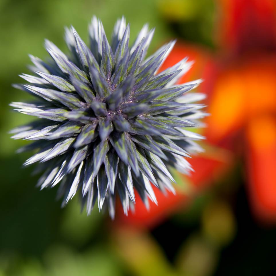 My ART of Procrastination - Siegfried Romanek