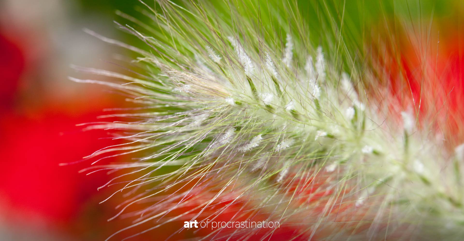 SEO Coach & SEO Berater · Romanek mediamodule aus München