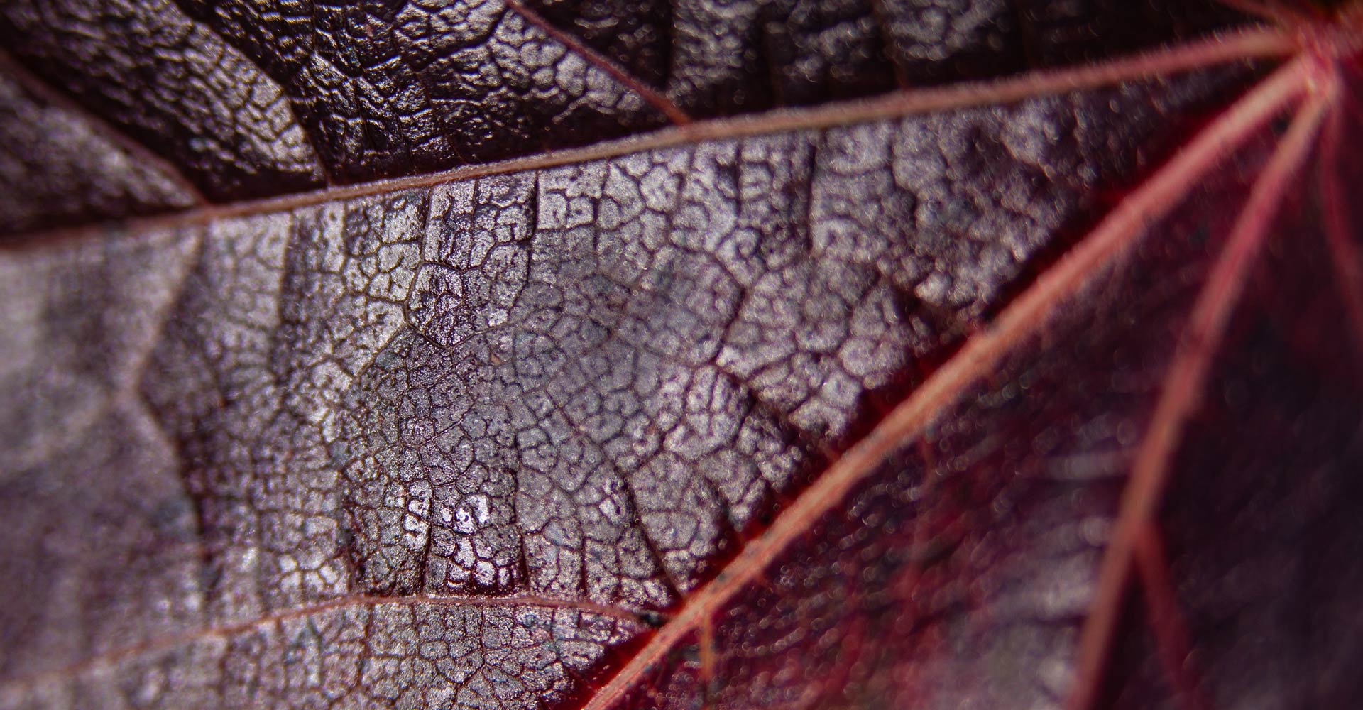 My ART of Procrastination - magische Oberflächen - Siegfried Romanek