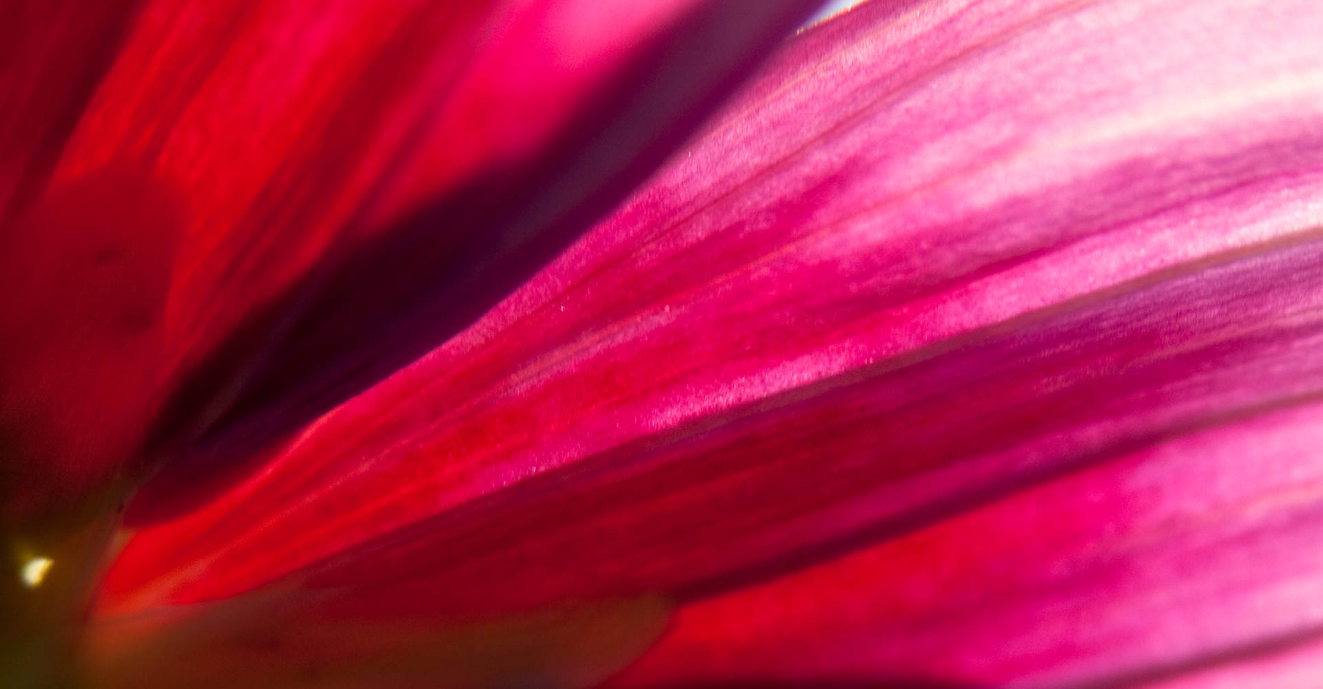 My ART of Procrastination - magische Oberflächen - Siegfried Romanek