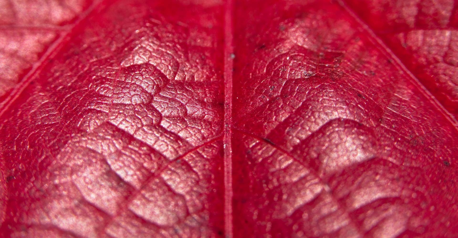 My ART of Procrastination - magische Oberflächen - Siegfried Romanek