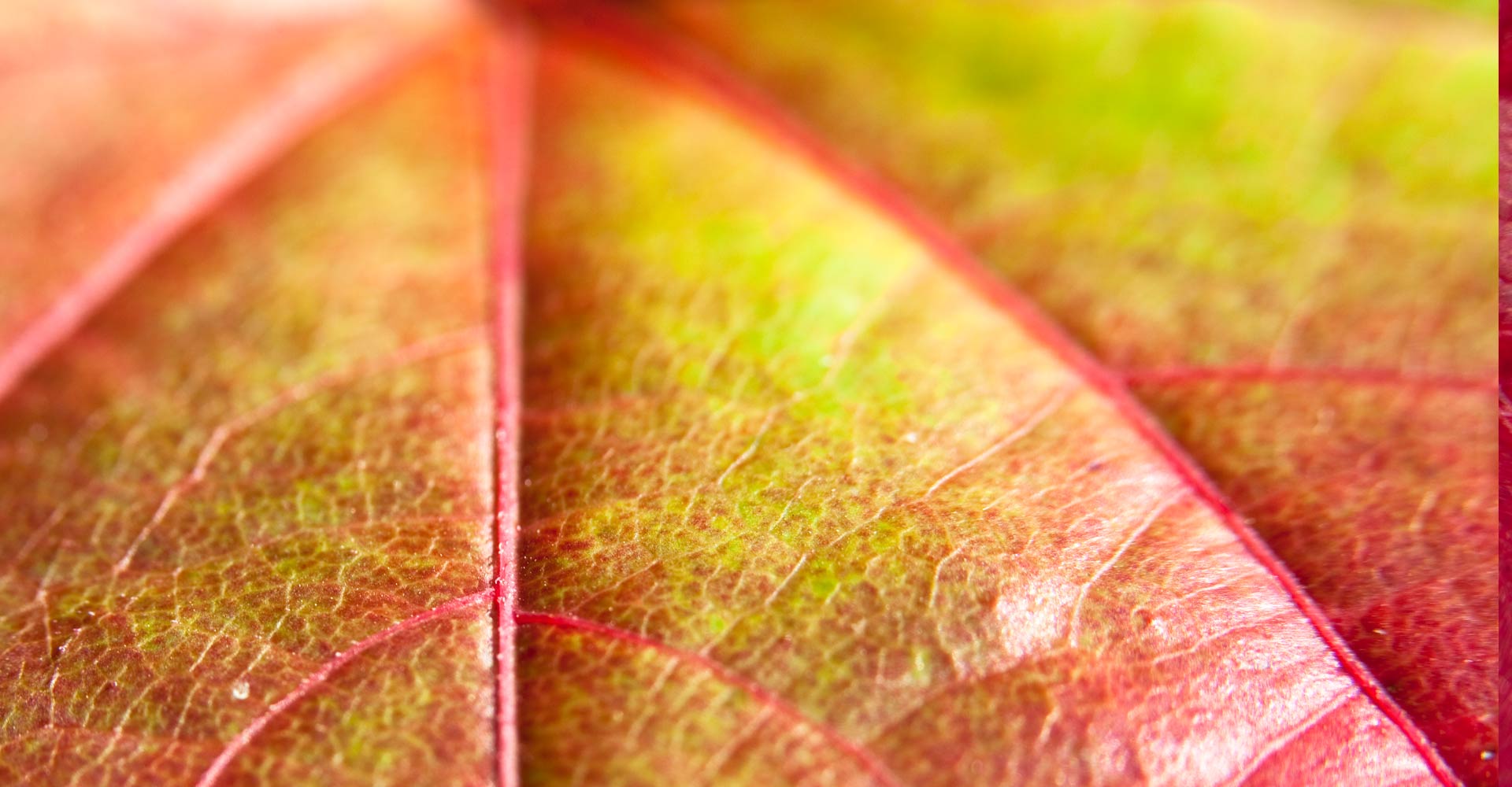 My ART of Procrastination - magische Oberflächen - Siegfried Romanek